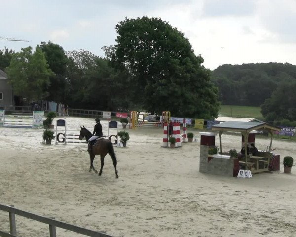 Reitturnier Kalenborn Hegehof 2023
