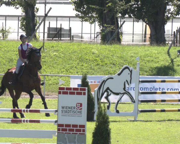Reitturnier Wien-Freudenau 2023