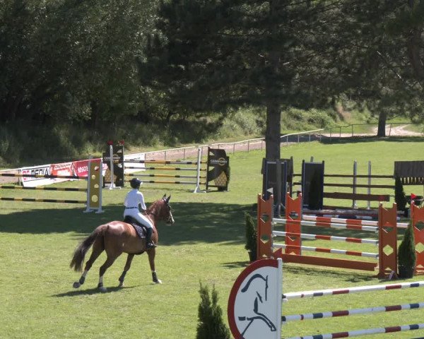Reitturnier Wien-Freudenau 2023