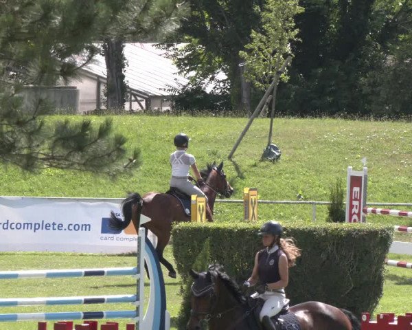 Reitturnier Wien-Freudenau 2023
