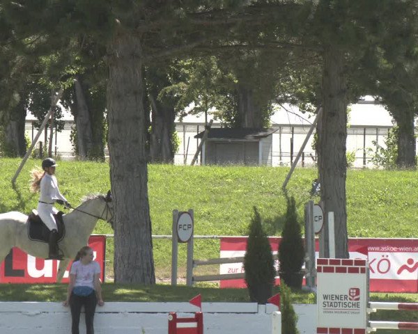 Reitturnier Wien-Freudenau 2023