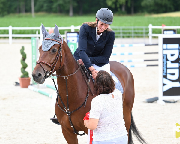 jumper Olander (KWPN (Royal Dutch Sporthorse), 2019, from Highlander vd Kalevallei)