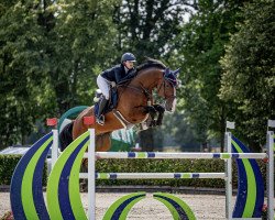jumper Carat (German Sport Horse, 2016, from Carleyle)
