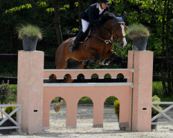jumper Vador de Prefontaine (Belgium Sporthorse, 2005, from Kashmir van't Schuttershof)