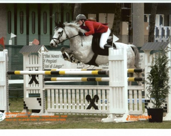horse Killeen de L'Aulne (Connemara Pony, 1998, from Dexter Leam Pondi)