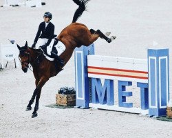 jumper Moncherie-K van 't Kattenheye (Belgian Warmblood, 2012, from Action-Breaker)