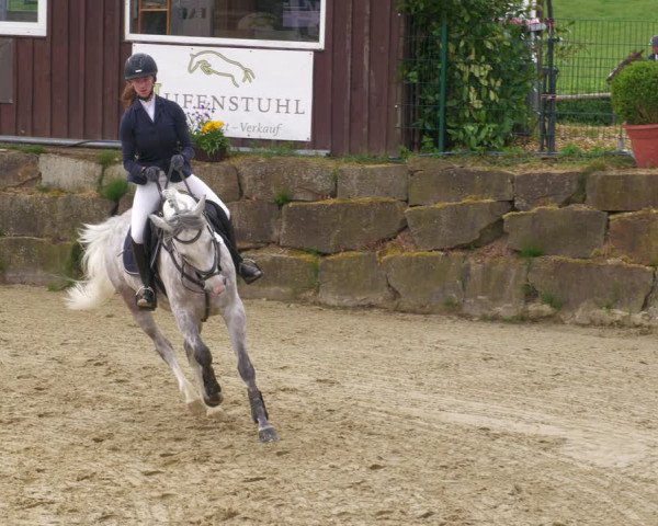 Reitturnier Lindlar-Süttenbach 2023