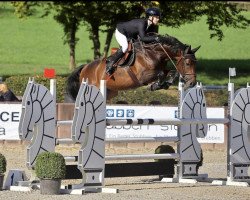 jumper Continio H (Rhinelander, 2014, from Cornet Obolensky)