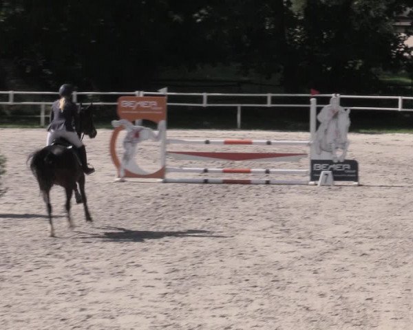 Reitturnier Prussendorf 2023
