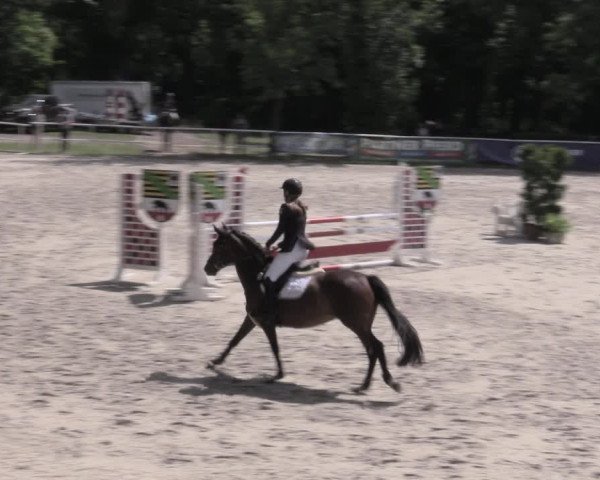 Reitturnier Prussendorf 2023