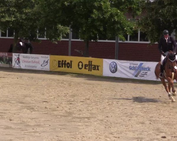 Reitturnier Münster-Roxel 2023