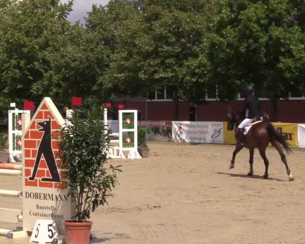 Reitturnier Münster-Roxel 2023