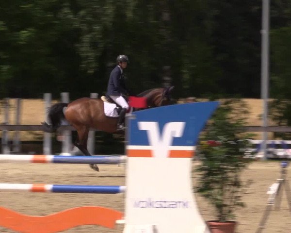 Reitturnier Münster-Roxel 2023