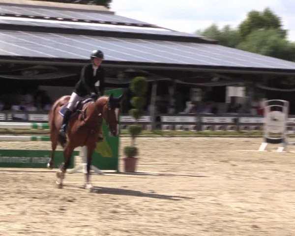 Reitturnier Münster-Roxel 2023