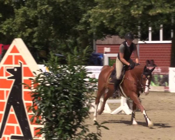 Reitturnier Münster-Roxel 2023