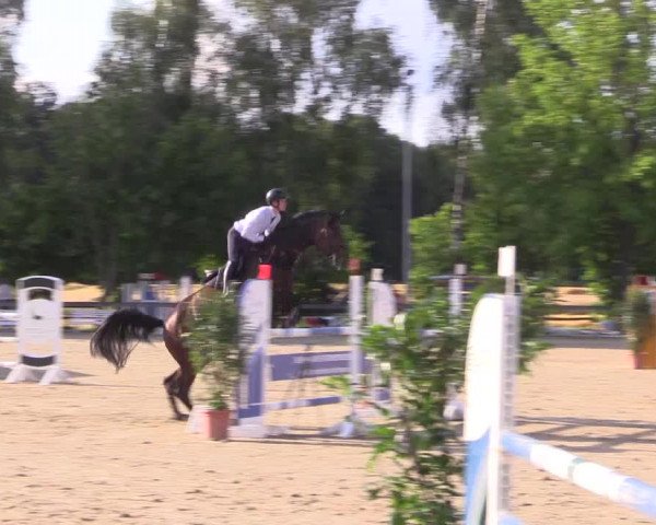 Reitturnier Münster-Roxel 2023