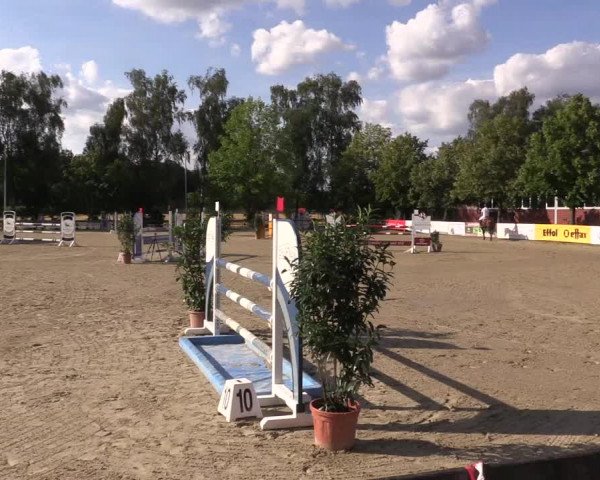 Reitturnier Münster-Roxel 2023