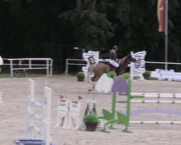 Reitturnier Prussendorf 2023