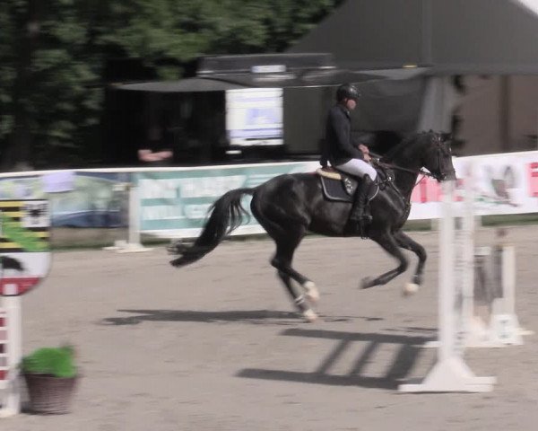 Reitturnier Prussendorf 2023