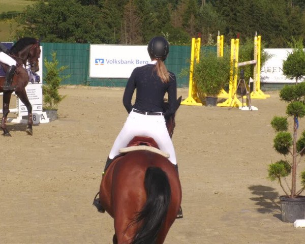Reitturnier Lindlar-Süttenbach 2023