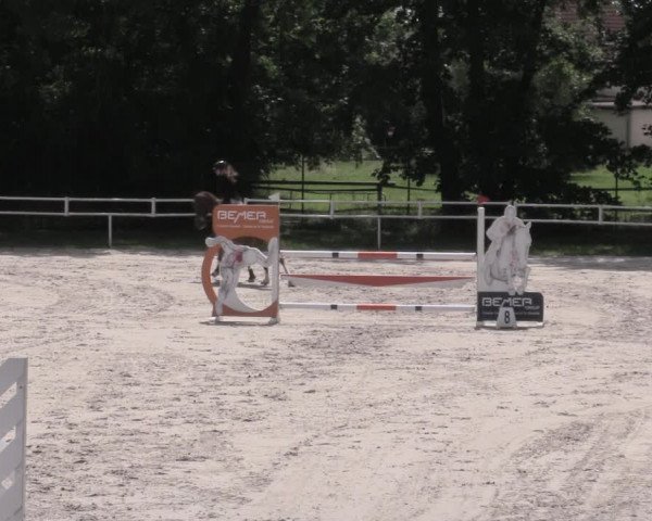 Reitturnier Prussendorf 2023