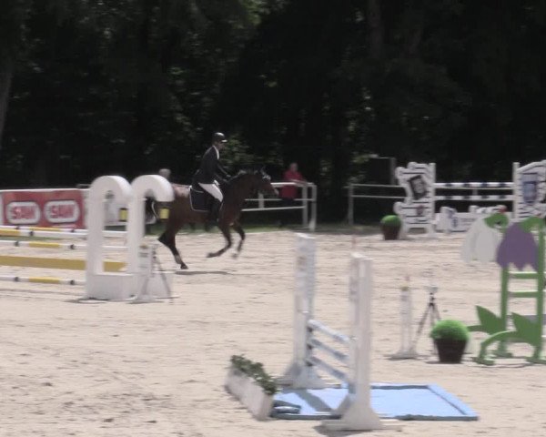 Reitturnier Prussendorf 2023