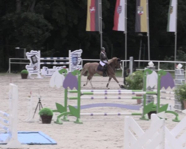 Reitturnier Prussendorf 2023