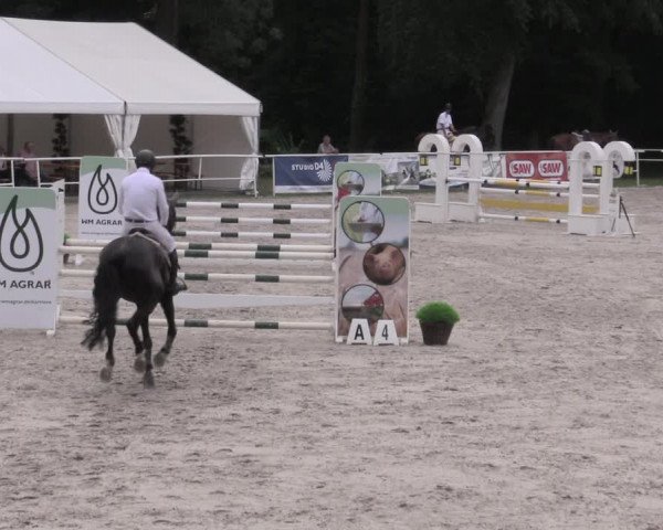 Reitturnier Prussendorf 2023