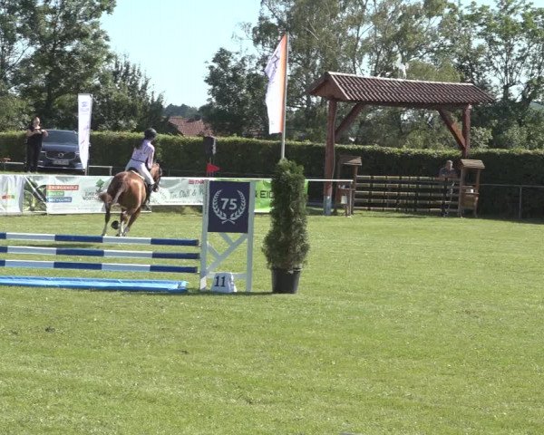 Reitturnier Moringen 2023