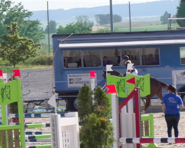 Reitturnier Beromünster 2023