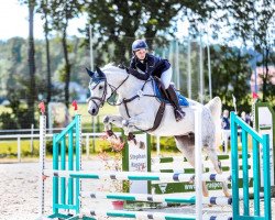 jumper Cellestina 11 (Oldenburg show jumper, 2015, from Cellestial)