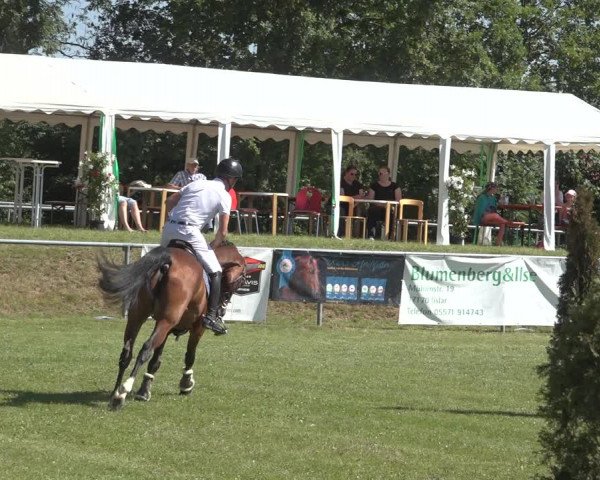 Reitturnier Moringen 2023
