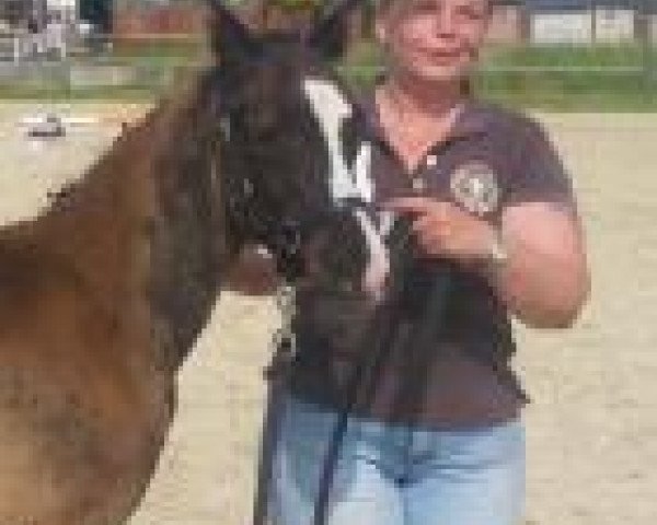 Annette Schwandt