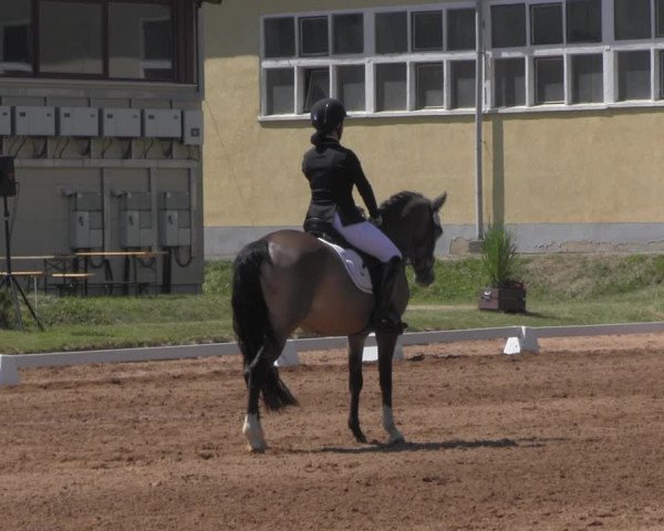 Reitturnier Prussendorf 2023