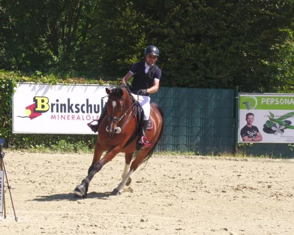 Reitturnier Lindlar-Süttenbach 2023