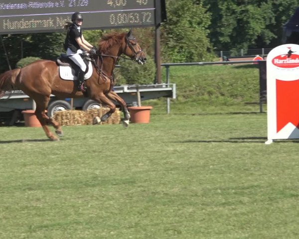 Reitturnier Moringen 2023