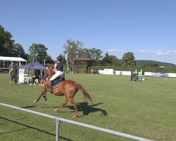 Reitturnier Moringen 2023