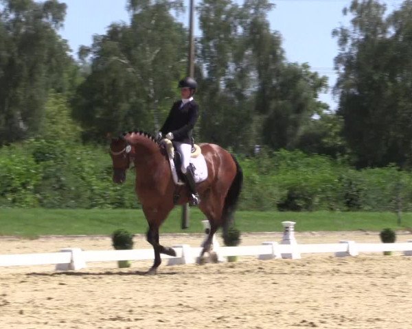 Reitturnier Münster-Roxel 2023