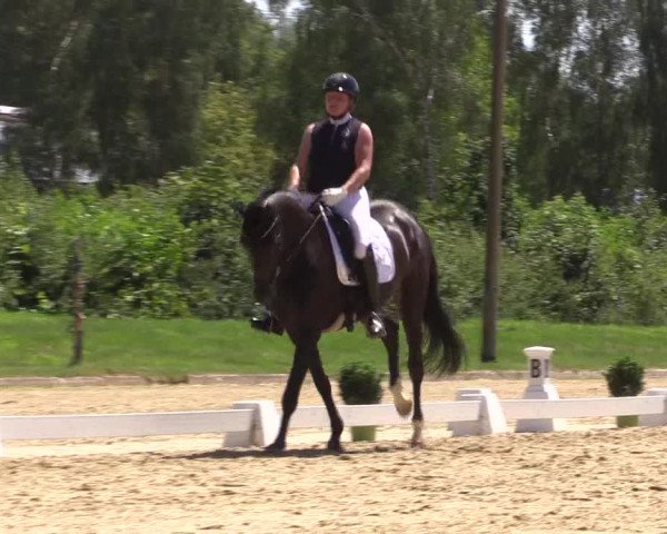 Reitturnier Münster-Roxel 2023