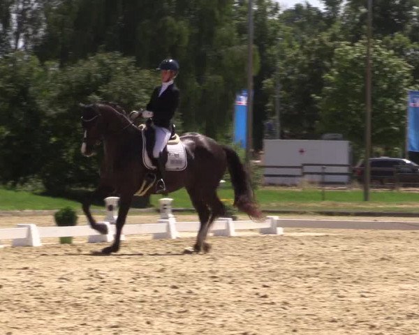 Reitturnier Münster-Roxel 2023