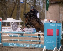 jumper Baldessarini 13 (Westphalian, 2018, from Balounito)