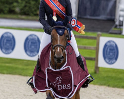jumper Dana des Bruyeres Z (Zangersheide riding horse, 2015, from Diamant de Semilly)
