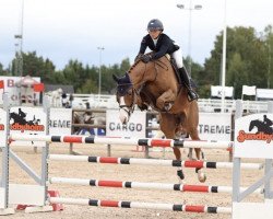 jumper Etiks It's Eternal (Norwegian Warmblood, 2016, from Cascadello)