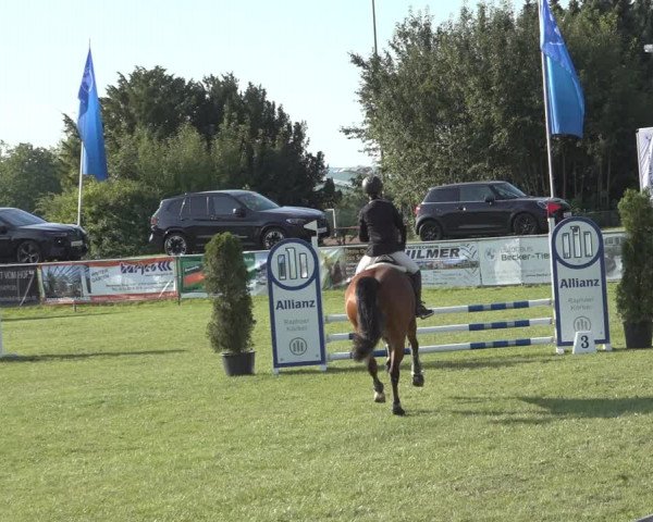 Reitturnier Moringen 2023