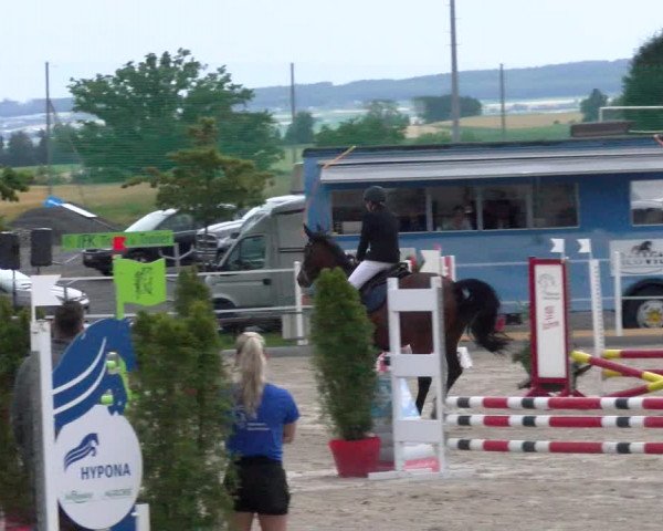 Reitturnier Beromünster 2023