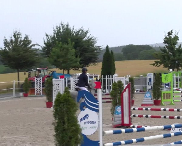 Reitturnier Beromünster 2023