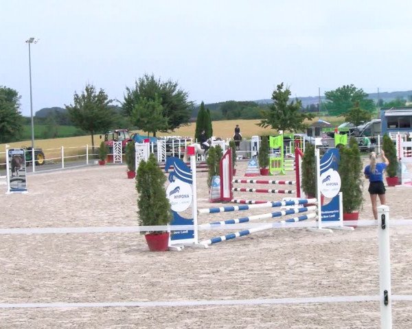 Reitturnier Beromünster 2023