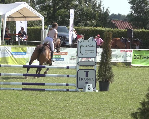 Reitturnier Moringen 2023