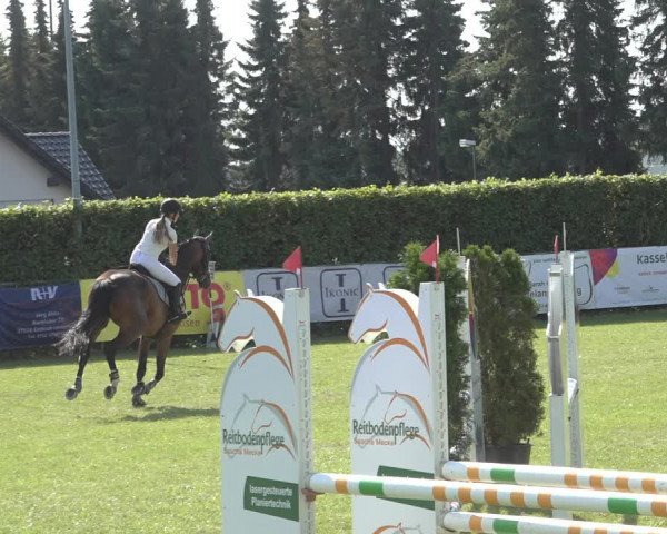 Reitturnier Moringen 2023