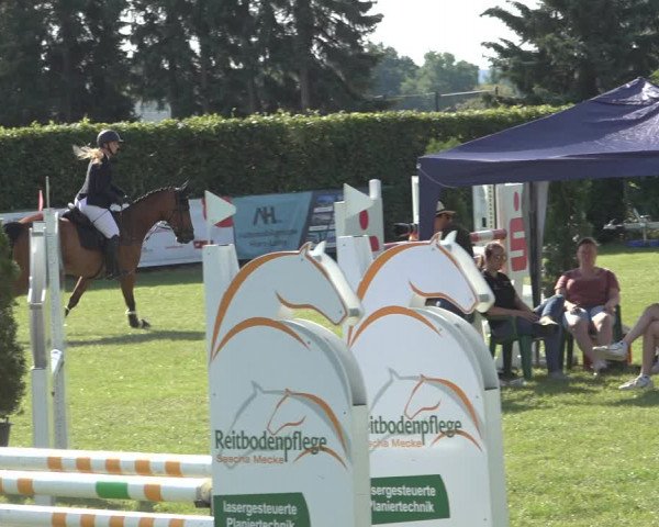 Reitturnier Moringen 2023